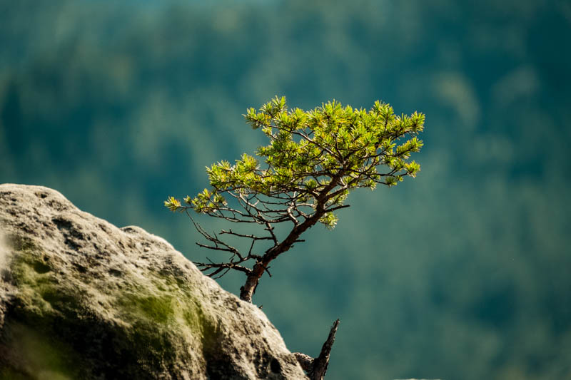 Fotografia krajobrazu