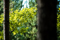 Fotografia krajobrazowa